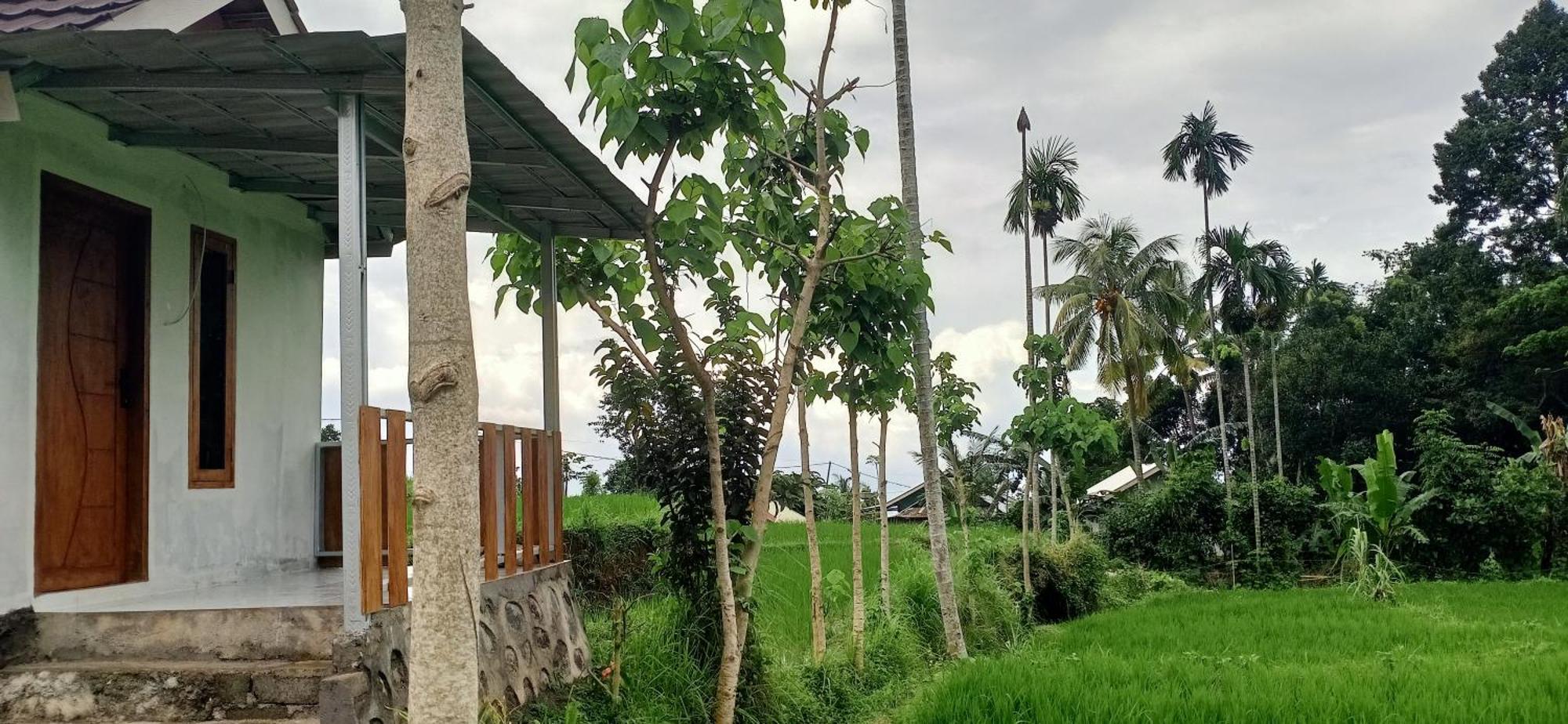 סנרו Bayan Exotic Homestay מראה חיצוני תמונה